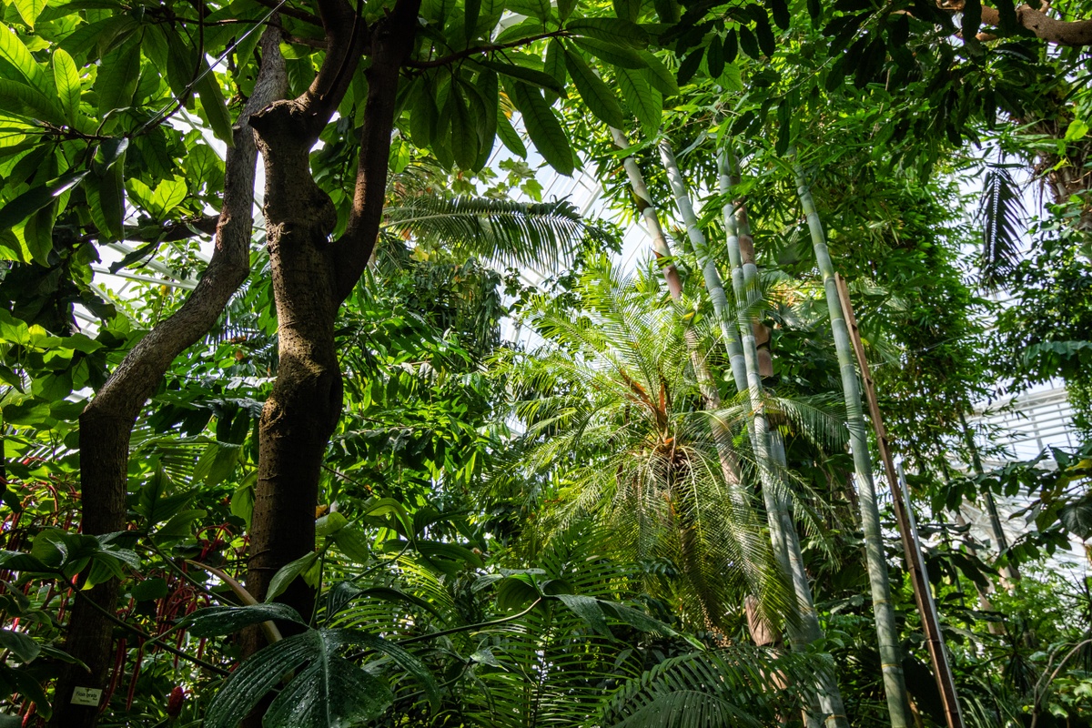Botanischer Garten MünchenNymphenburg in München Alle Events